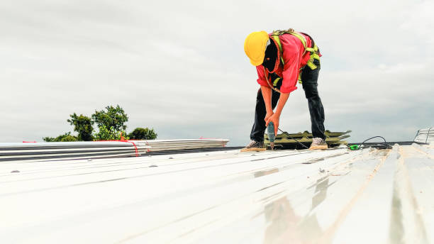 Best Solar Panel Roofing Installation  in Mckinney, TX