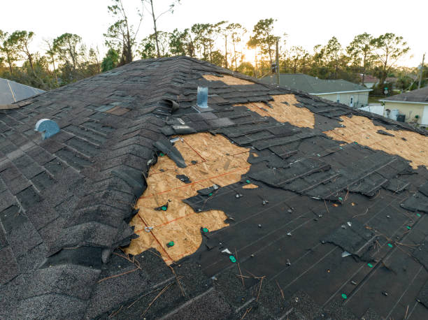 Best Storm Damage Roof Repair  in Mckinney, TX